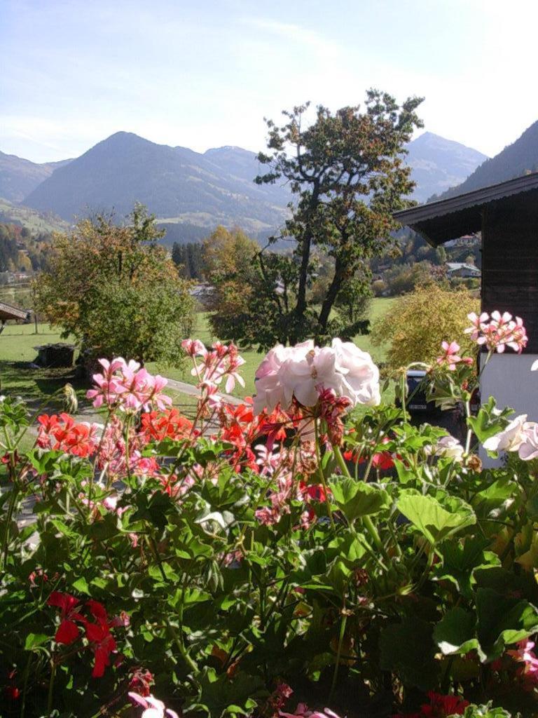 Frühstückspension Malernhof 4*
