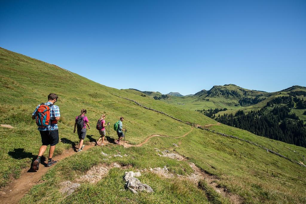 Malernhof 4* Kitzbühel